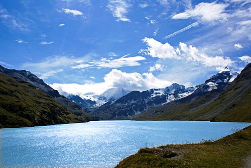 Hitachi Seaside Park Nemophila